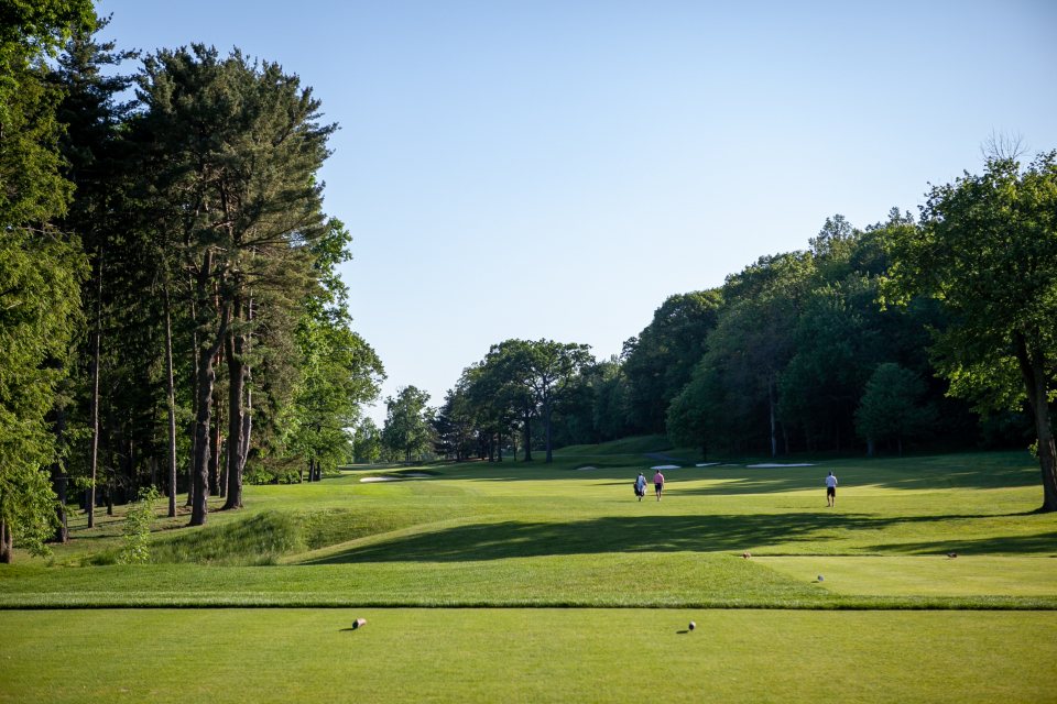 Illustrative image: an empty golf fairway lined with trees on a clear day